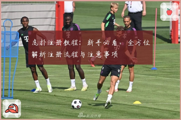 虎扑注册教程：新手必看，全方位解析注册流程与注意事项