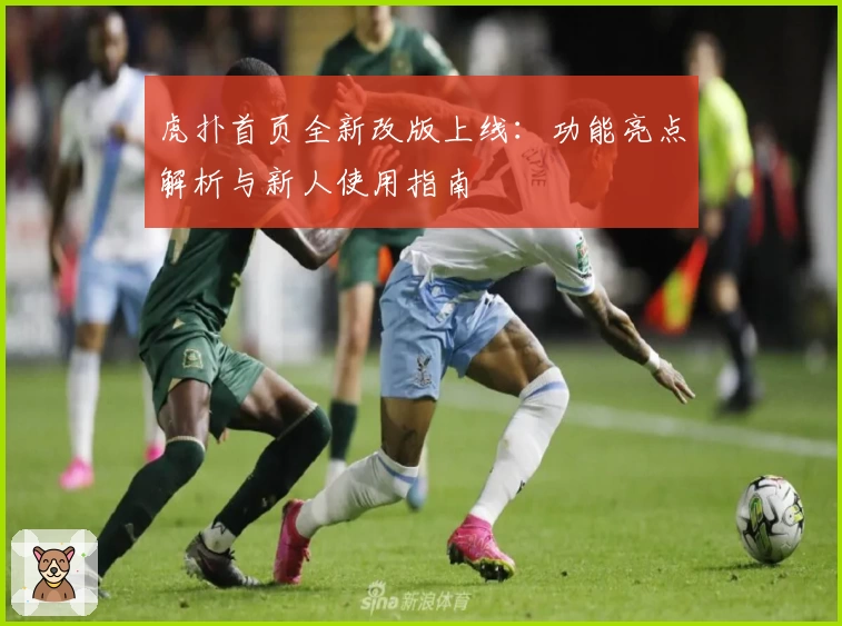 虎扑首页全新改版上线：功能亮点解析与新人使用指南